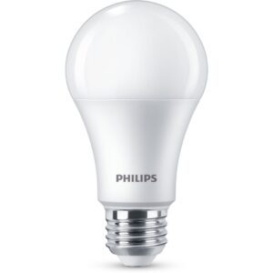 A Shape LED Bulbs