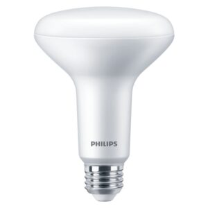 Philips BR30 LED