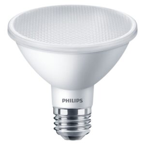 Philips PAR30 LED